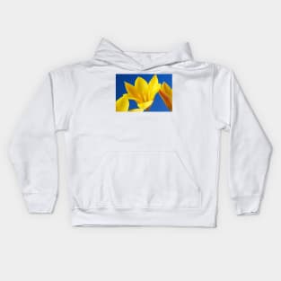 Golden lady tulip or Tulipa clusiana var. chrysantha Kids Hoodie